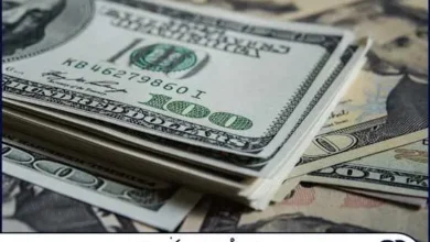✅ بررسی چرایی افزایش قیمت دلار، سرکوب نرخ ارز، تورم طرف عرضه و شرایط بازار سرمایه در مصاحبه صدای بورس با دکتر سعدوندی 🔶