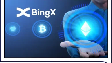 بررسی رتبه صرافی BingX، رپورتاژ آگهی صرافی بینگ اکس در کلینیک اقتصاد دکتر سعدوندی