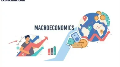 مقاله جامع اقتصاد کلان چیست؟ - What is macroeconomics? در کلینیک اقتصاد دکتر سعدوندی