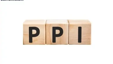 شاخص قیمت تولیدکننده یا Producer Price Index چیست؟ از سری مقالات مسیر یادگیری فارکس کلینیک اقتصاد دکتر سعدوندی