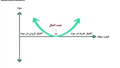 اختیار در سود چیست؟ از سری مقالات مسیر یادگیری مدیریت ریسک کلینیک اقتصاد دکتر سعدوندی