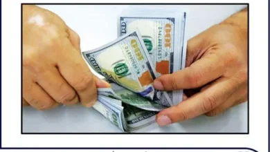 ✅ بررسی وضعیت دلار، صادرات، کسری تراز تجاری، عملکرد ارزی دولت، بیماری هلندی و تثبیت قیمت دلار را در مصاحبه دکتر سعدوندی موسس کلینیک اقتصاد 🔶