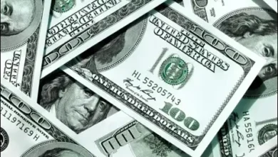 ارز ۴۲۰۰ تومانی و سیاست ارزی ایران: مرور شش گفتوگو