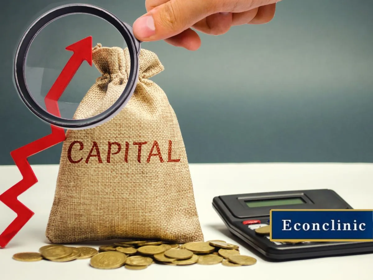 اهمیت ساختار سرمایه در پیش بینی عملکرد شرکت ها